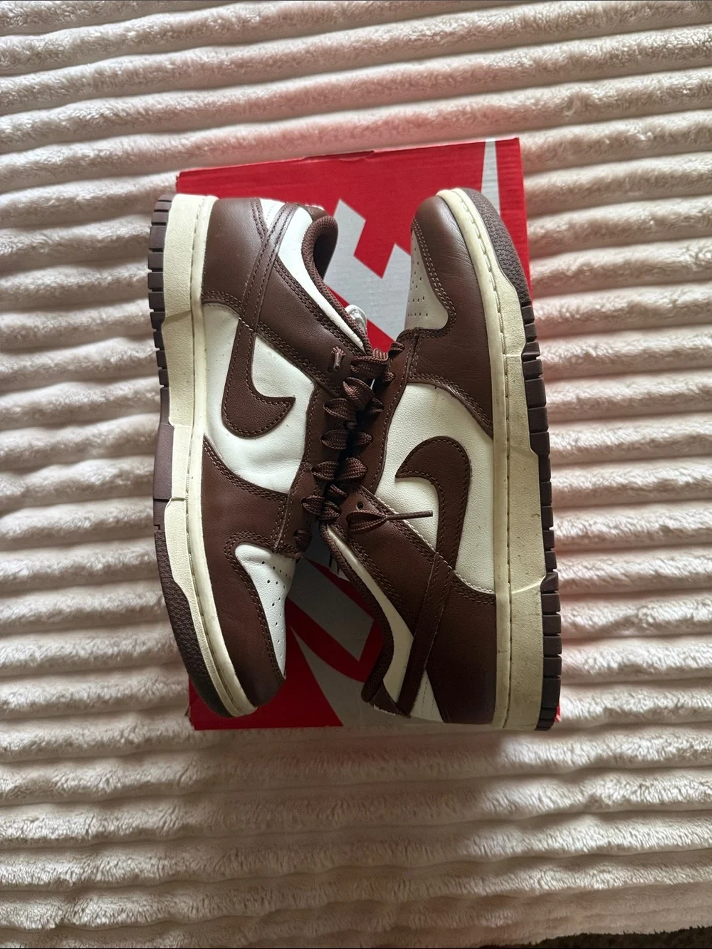 Nike Dunk Low Brown & White Womens Sneakers